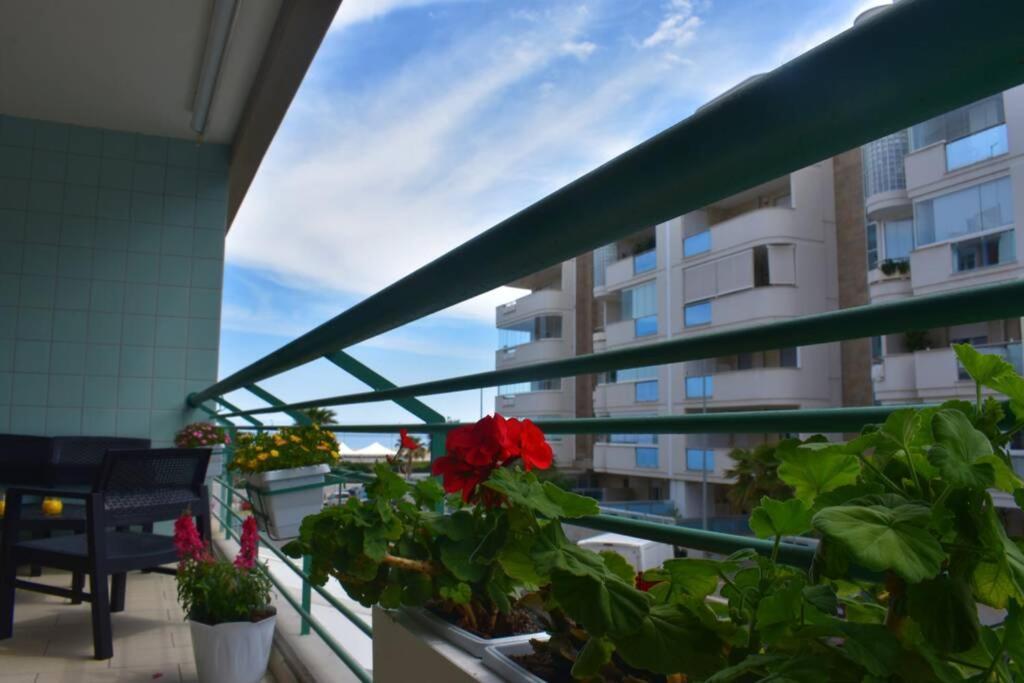 Donna Teresa Accomodation - Holiday House Monopoli Ngoại thất bức ảnh